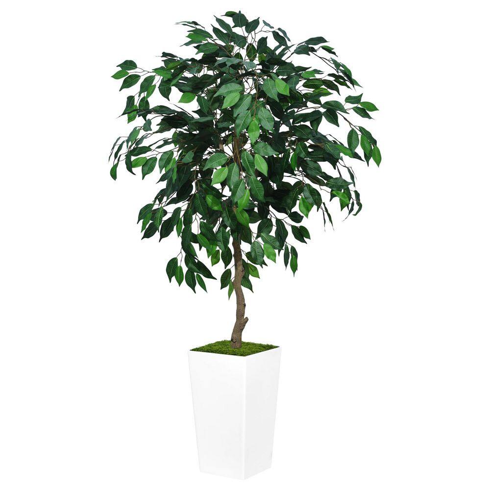 5 ft. Artificial Ficus Tree in White Tall Planter with Adjustable Branches and Leaves for Indoor Home Office Decor price history on PriceWatchPro