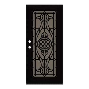 36 in. x 80 in. Manchester Black Left-Hand Surface Mount Security Door with Brown Perforated Metal Screen