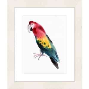 21 in. x 25 in. "Watercolor Macaw" Framed Giclee Print Wall Art