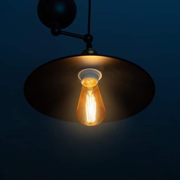 40-Watt ST19 Dimmable Cage Filament Amber Glass E26 Vintage Edison Incandescent Light Bulb, Warm White