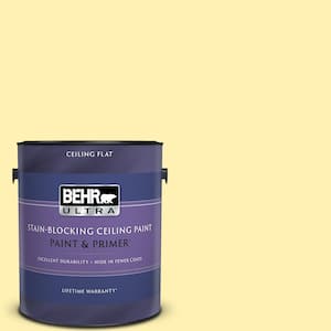 1 gal. #P310-3 Firefly Ceiling Flat Interior Paint and Primer