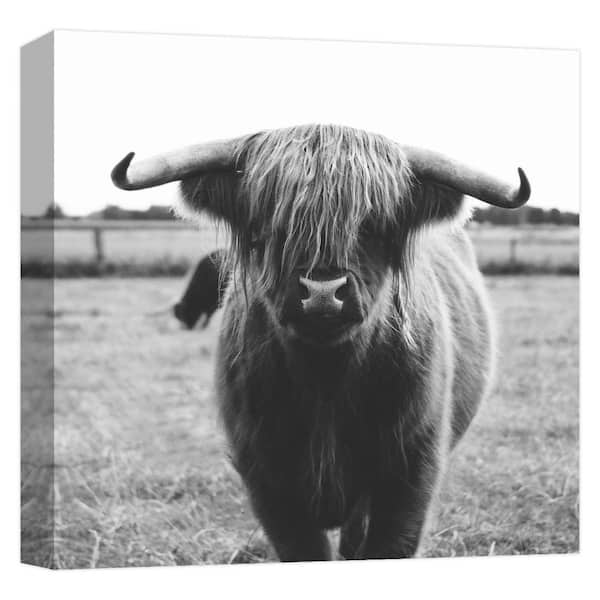 PTM Images "Buffalo Sight'' Canvas Abstract Wall Art 15 in. x 15 in.