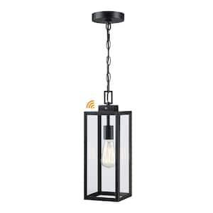 Alfa 16.84 in. 1-Light Matte Black Outdoor Hanging Lantern Pendant Light with Clear Glass Dusk to Dawn