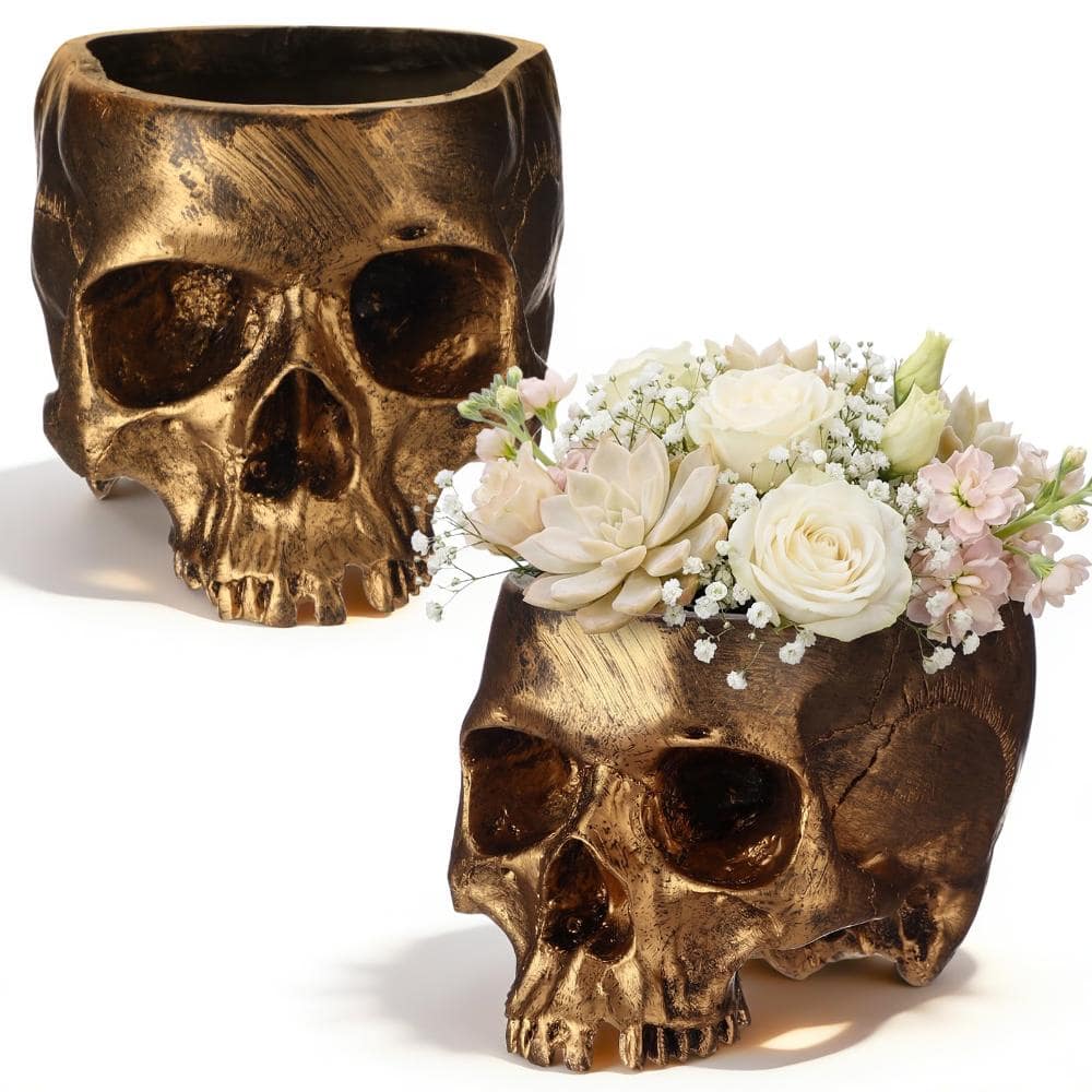 2 Pack Resin Skull Head Flower Pot, Candy Bowl Spooky Gothic Decoration for Tabletop Home Bar Office Desk Halloween price history on PriceWatchPro