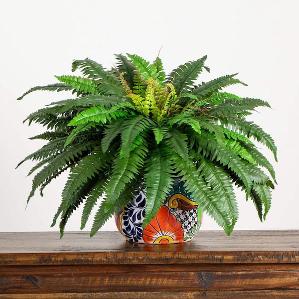 20 in. Artificial Double Boston Fern in Handmade Mexican Talavera Ceramic Planter