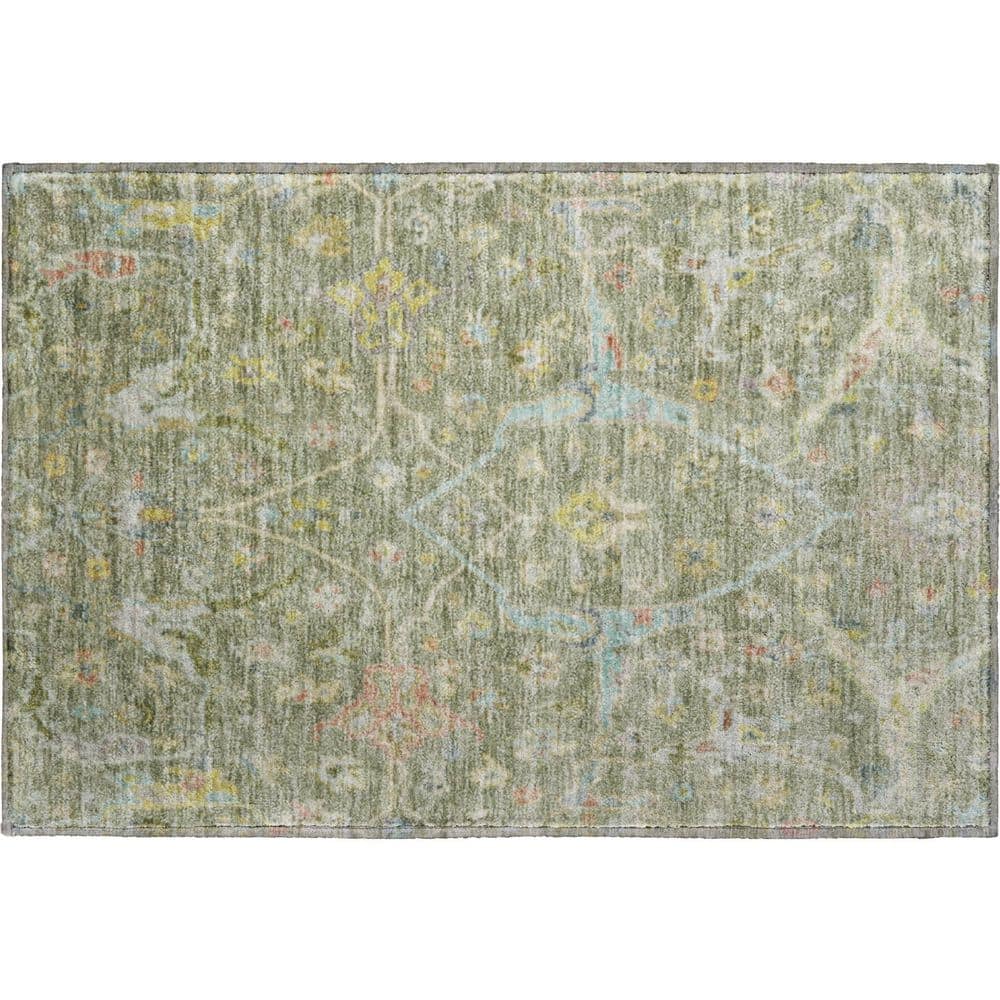Mayfield Premium Machine Washable Abstract AMF2232 Aloe 2 ft. x 3 ft. Accent Rug price history on PriceWatchPro