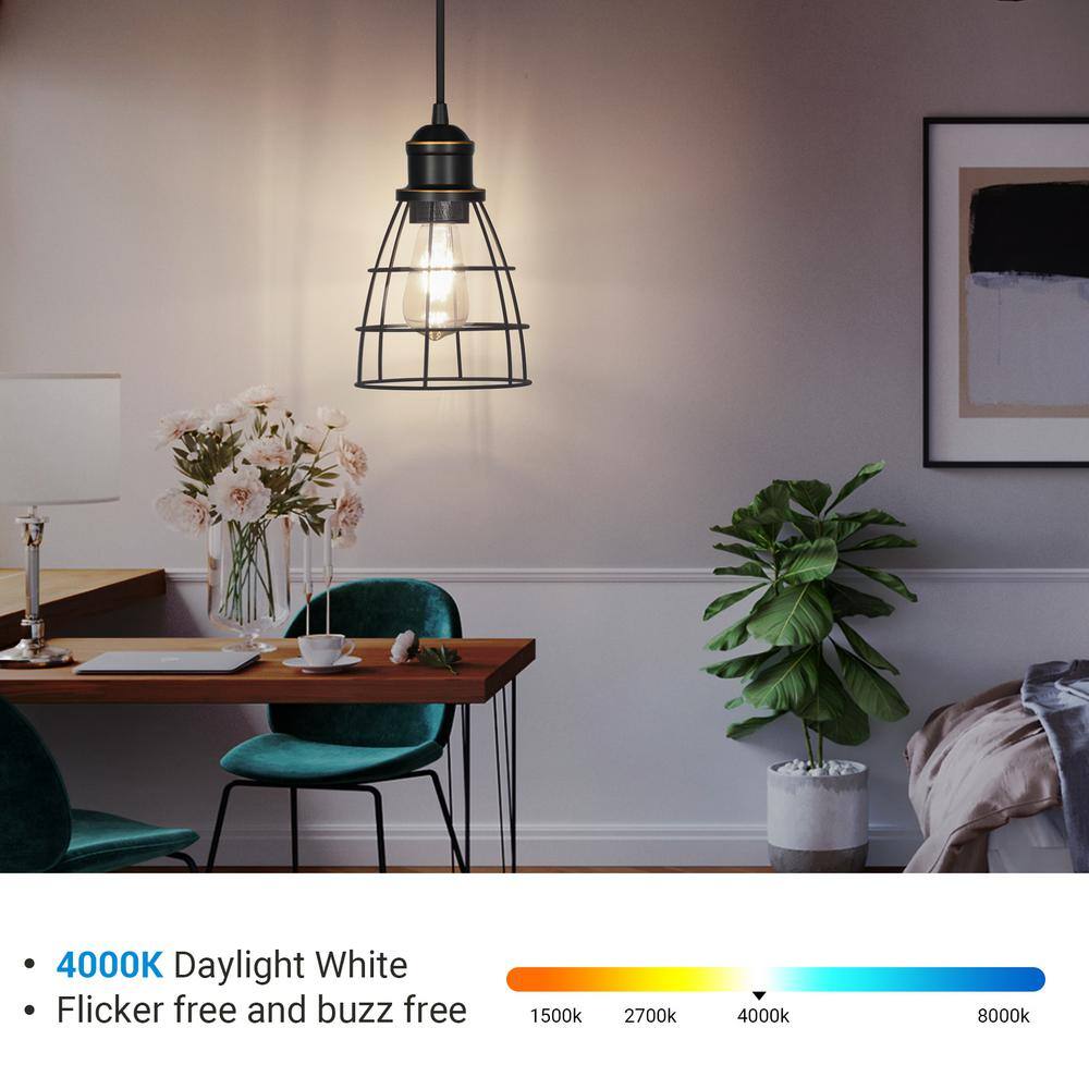 Clear Glass Vintage Edison LED Light Bulbs, 4000K, 60W Equivalent, 4-Pack