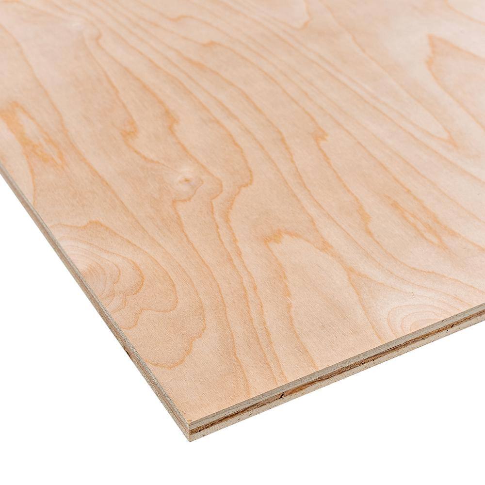 Handprint 1 4 In X 2 Ft X 4 Ft Sande Plywood Project Panel 103064 