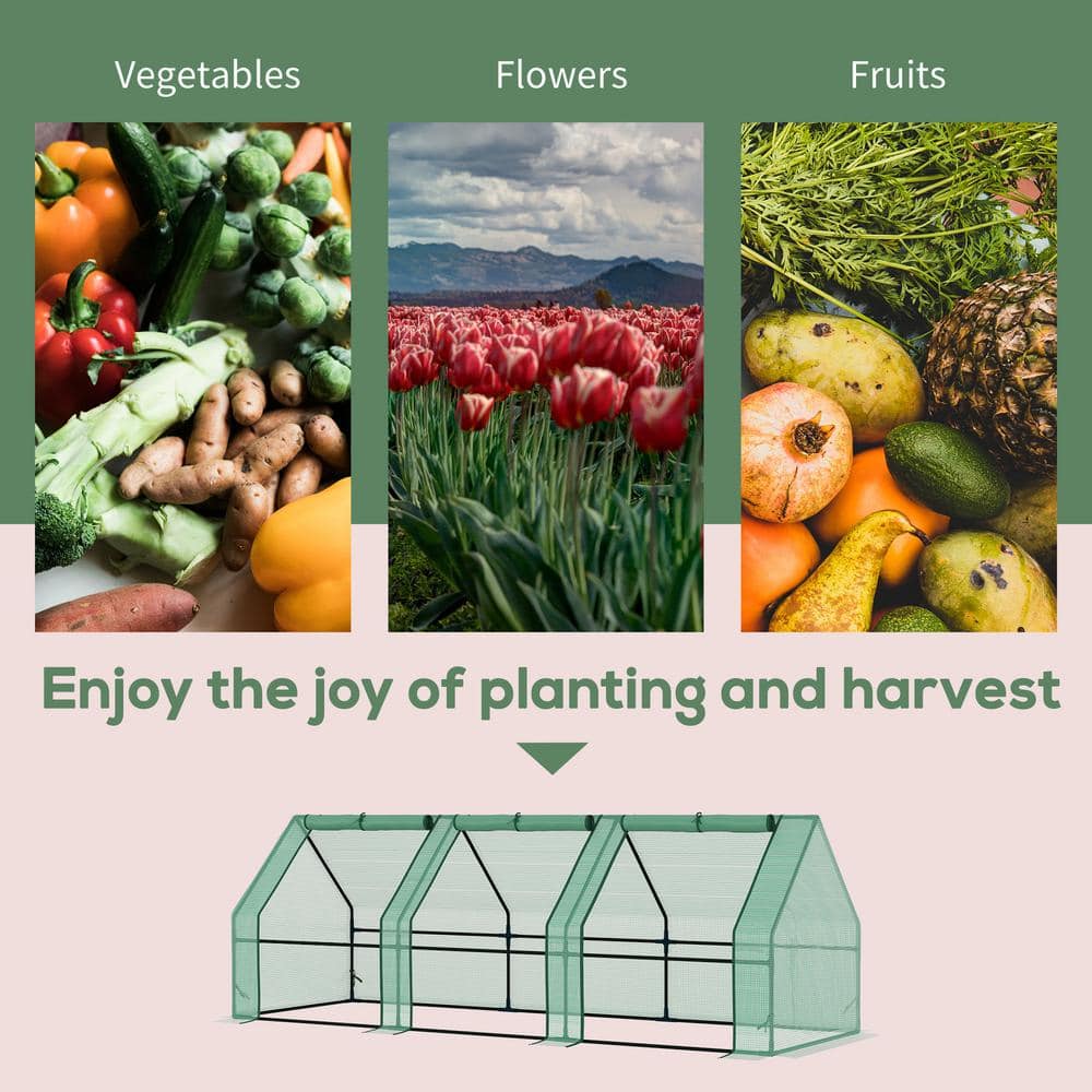Portable Greenhouse with PE Cover and Steel Frame