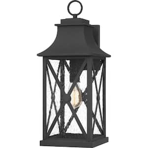 Ellerbee 8.5 in. 1-Light Mottled Black Outdoor Wall Lantern Sconce with Clear Seeded Glass