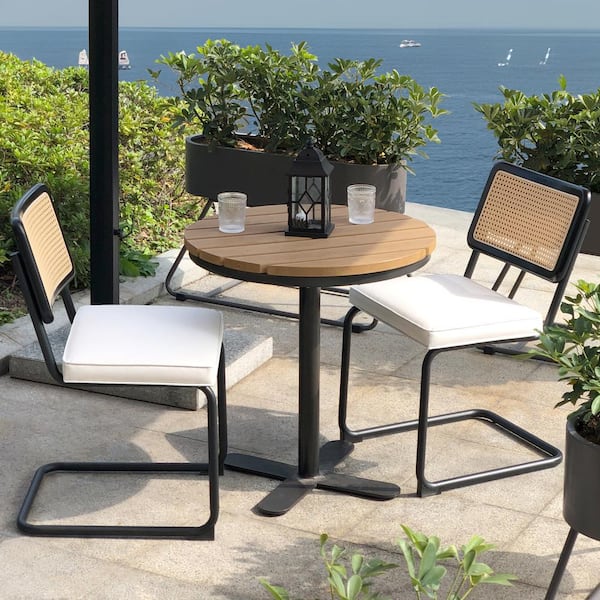 Tenleaf 2-Piece Metal Outdoor Lounge Chairs with Beige Cushions