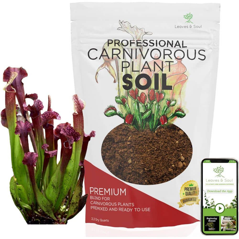 LEAVES AND SOUL Carnivorous Plant Soil, 2.2 qt., Ready to Use, For Venus  Flytraps, Sundews, Pitcher Plants, Butterworts B09WPZ88FR - The Home Depot