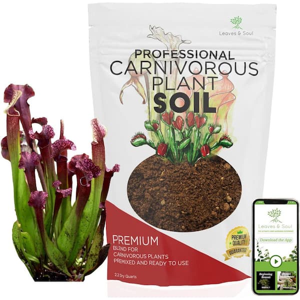 LEAVES AND SOUL Carnivorous Plant Soil, 2.2 qt., Ready to Use, For Venus Flytraps, Sundews, Pitcher Plants, Butterworts