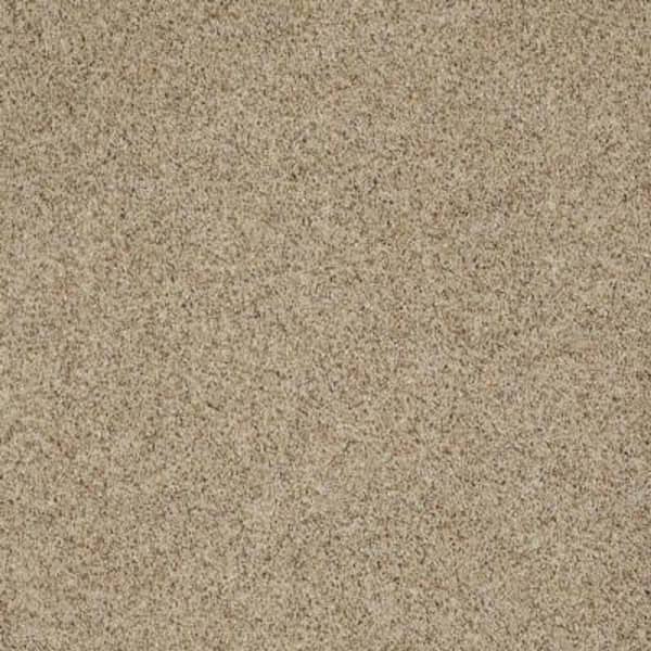 SoftSpring Carpet Sample - Impeccable I - Color East Coast Texture 8 in. x 8 in.