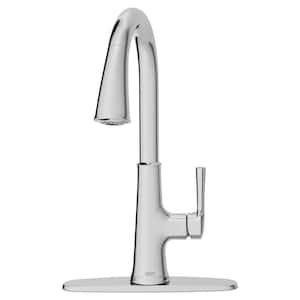 Renate Single Handle Pull Down Sprayer Kitchen Faucet in Polished Chrome