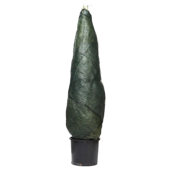 Nuvue Synlap Synthetic Burlap 25 ft. x 42 in. Roll-Hunter Green