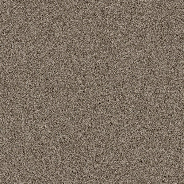 Piece Of Cake Log Cabin Brown 33 oz. Solution Dyed Polyester Texture Installed Carpet