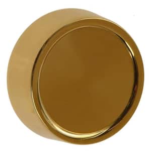 Dimmer Knob Wall Plate -Brass