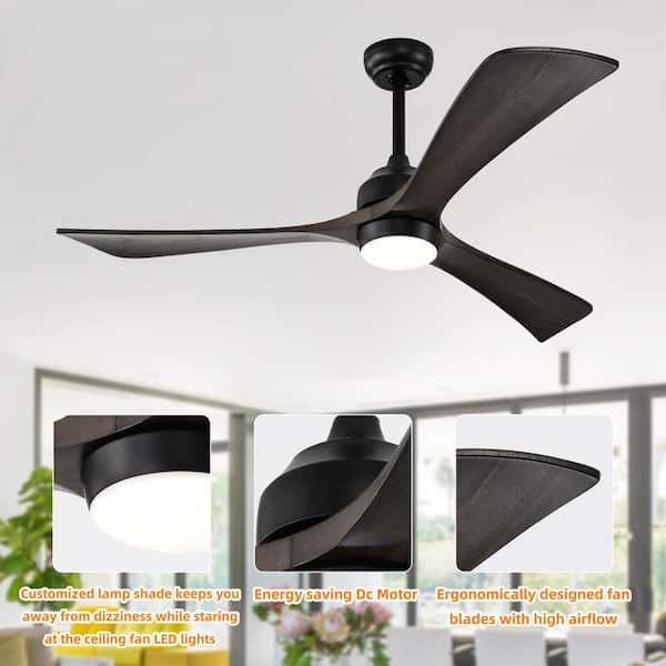 Staykiwi 52 in. Smart Indoor Matte Black Ceiling Fan with
