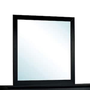 43 in. H x 39.25 in. W Large Rectangle Black Contemporary Mirror