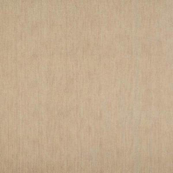 6 in. x 6 in. Texture Carpet Sample - Supreme - Color Shell