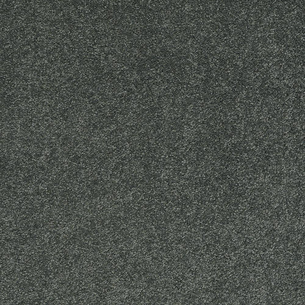 8 in. x 8 in. Texture Carpet Sample - Coral Reef II - Color Spring Fern price history on PriceWatchPro