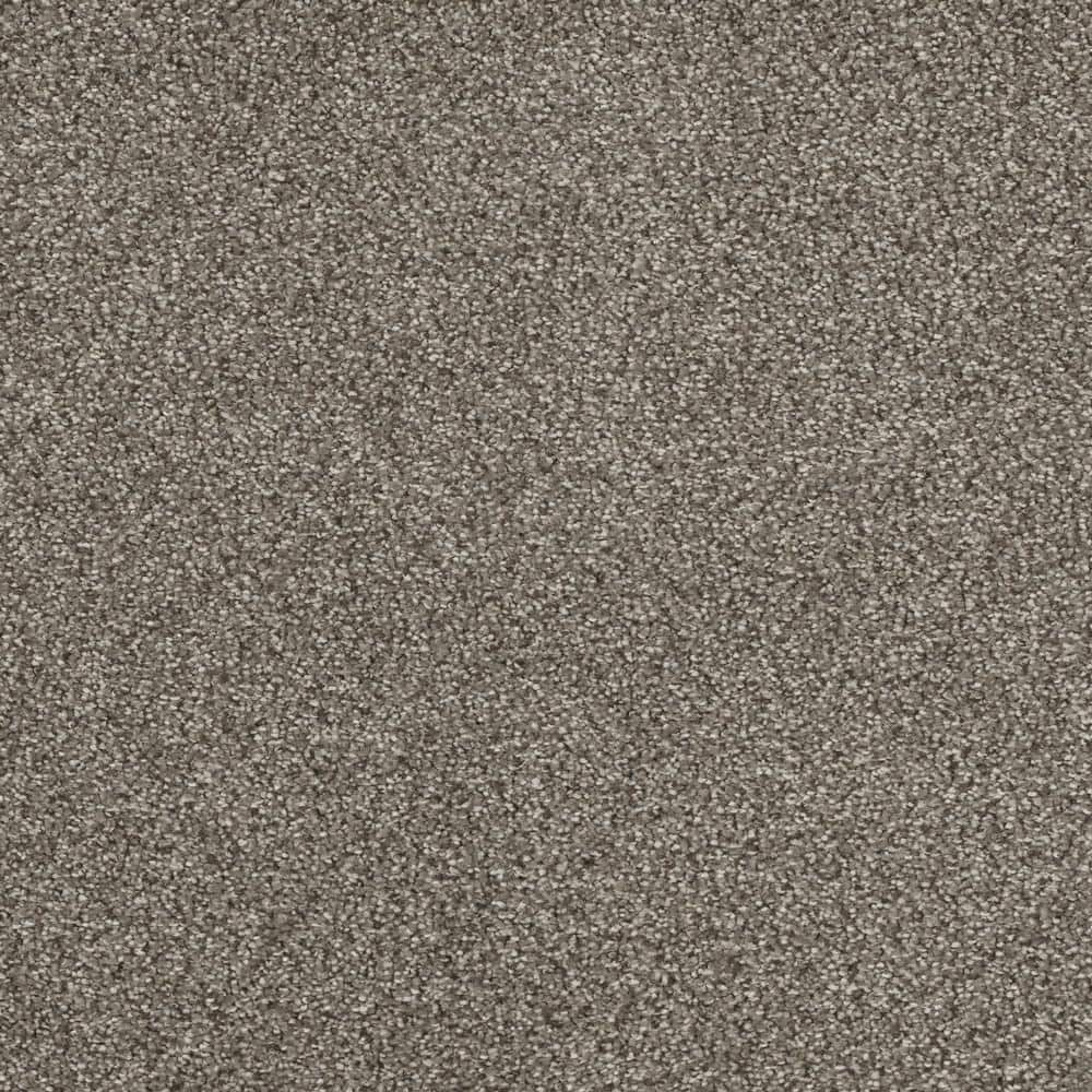 8 in. x  8 in. Texture Carpet Sample - Moonlight -Color Flare price history on PriceWatchPro