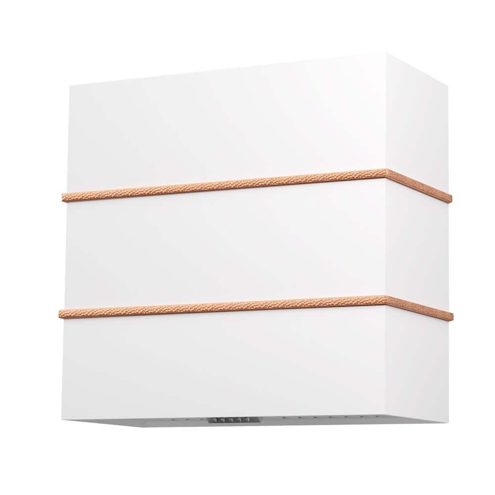 30 in Stainless Steel Range Hood with Powerful Vent Motor, 600 CFM, 3-Speed, Wall Mount, in White with Nickel
