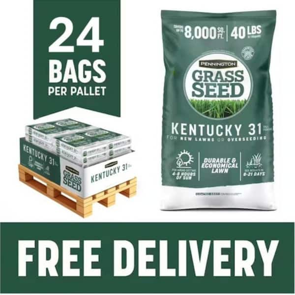 Kentucky 31 Tall Fescue 40 lbs. 8,000 sq. ft. Grass Seed Pallet (24-Bags)