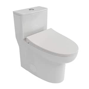 1-Piece 1.6/1.1 GPF Dual Flush Elongated Toilet in White with Soft Closing Seat