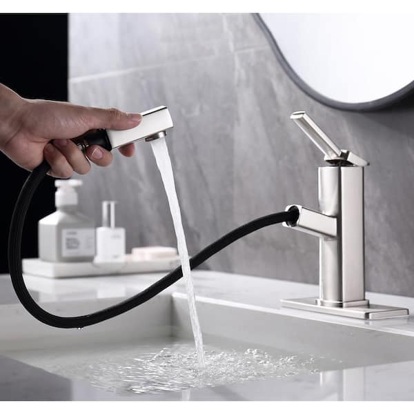 Rainlex Pull Out Sprayer Single Handle, Bathroom Faucets That Pull Out