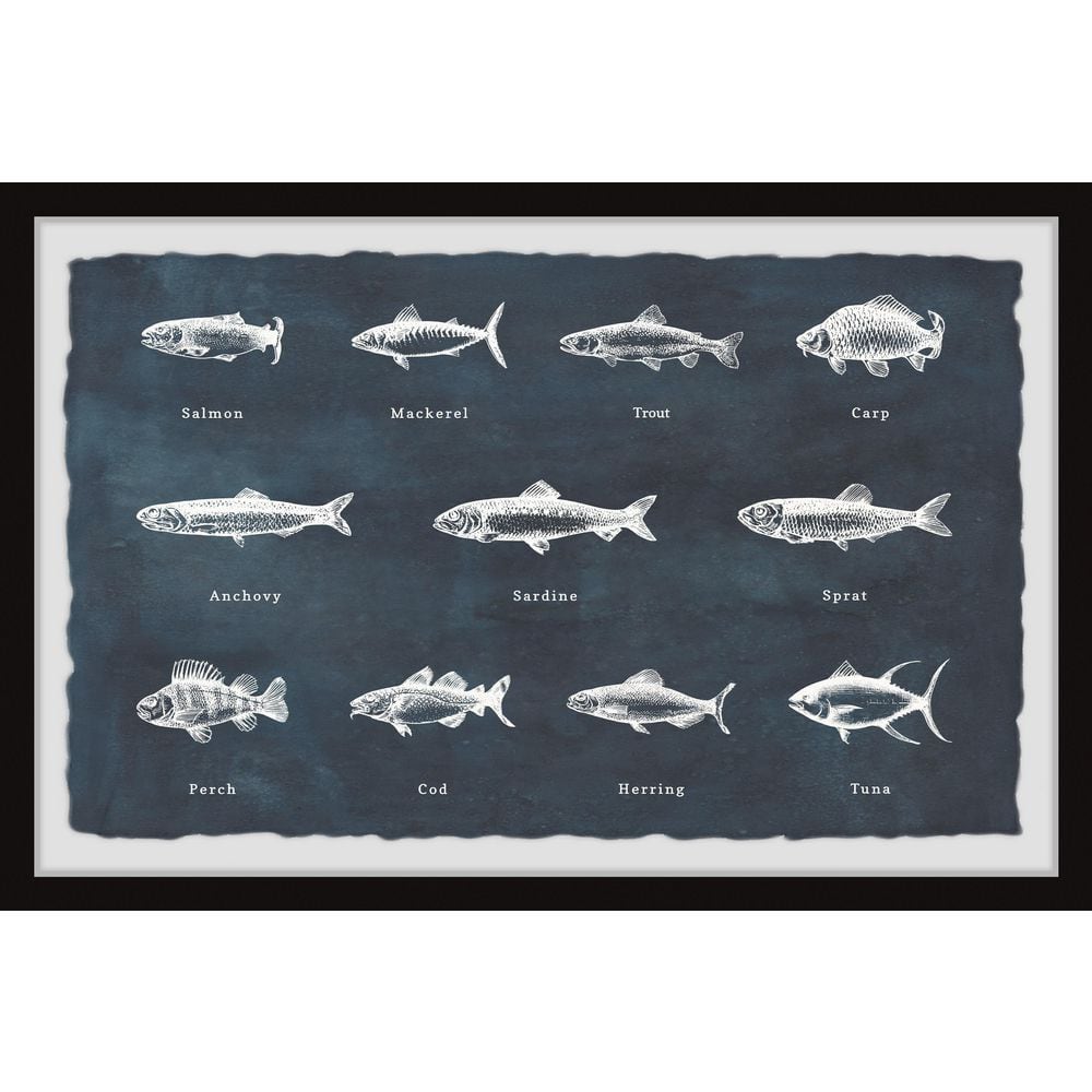 Deep-Sea Fishes in Blue by Marmont Hill Framed Animal Art Print 8 in. x 12 