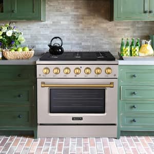 36in. 6 Burners Freestanding Gas Range in Stainless Steel/Gold with Convection Fan Cast Iron Grates and Black Enamel Top