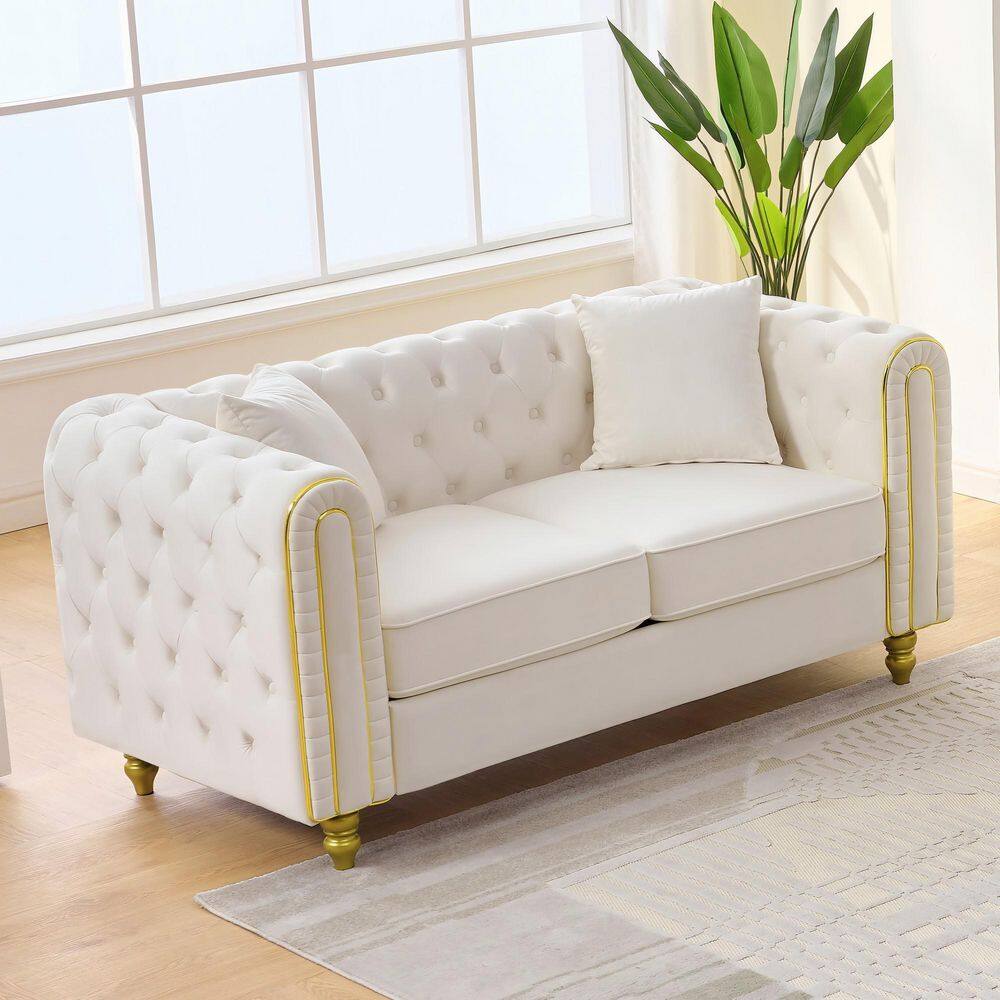 Anahera 63 Velvet 2-Seater Tufted Loveseat with Removable Cushions in Beige price history on PriceWatchPro