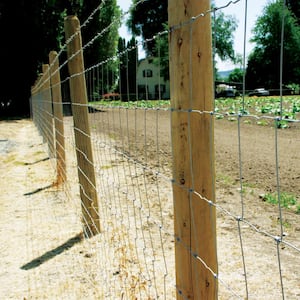 3 ft. 11 in. x 132 ft. 12-1/2 Gauge Galvanized Steel Field Fence