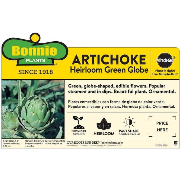 2.32 qt. Artichoke