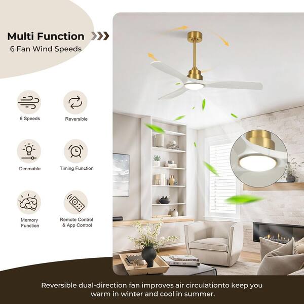 Reviews for TOZING 52 in. Smart Indoor White & Gold Low Profile