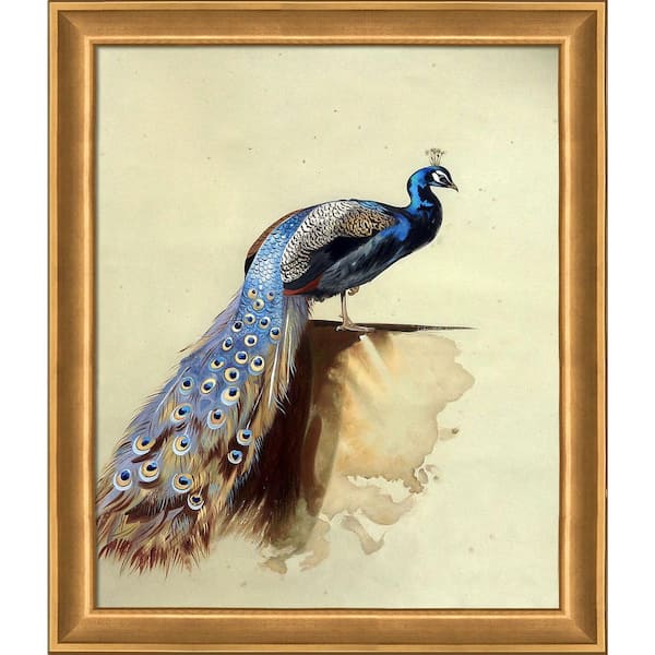 LA PASTICHE Peacock by Archibald Thorburn Muted Gold Glow Framed Animal Oil Painting Art Print 24 in. x 28 in.