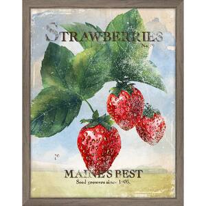 Seed Packet Strawberries Framed Giclee Vintage Art Print 15 in. x 19 in.