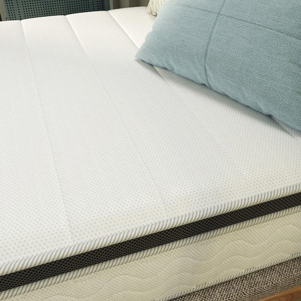 NapQueen Maxima Twin Medium Hybrid 10 in. Mattress NQIH10TT - The
