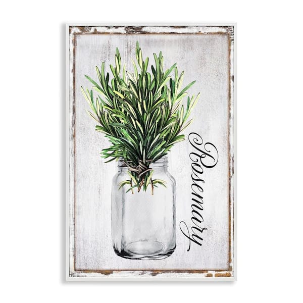 Stupell Industries Rustic Garden Rosemary by Creatif Belle White Framed Nature Giclee Art Print 24 in. x 16 in.