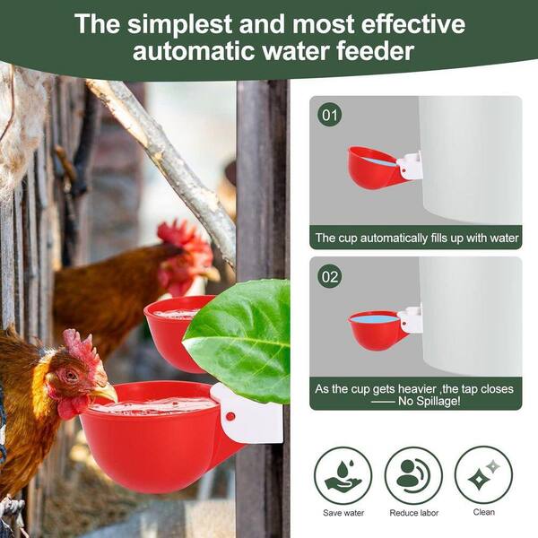 N/A 2.9 in. Large Automatic Poultry Waterer Cups with Anti-Dirt Cover for Chickens, Ducks, Geese, and More (Orange) 5 Pack BSA1122C144 - The Home Depot