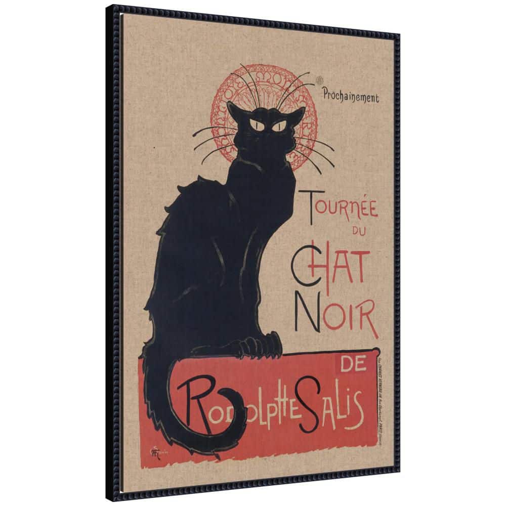 "Sylvie ""Tour of the Black Cat"" by Nostalgia Prints Animals Framed Canvas Art Print 33 in. x 23 in." price history on PriceWatchPro