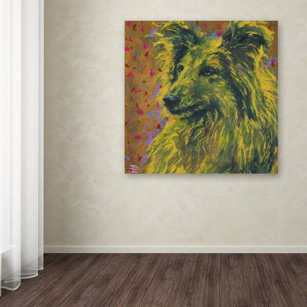 Trademark Fine Art 35 in. x 35 in. "Shetland Goldfoot" by Lowell S.V. Devin Printed Canvas Wall Art