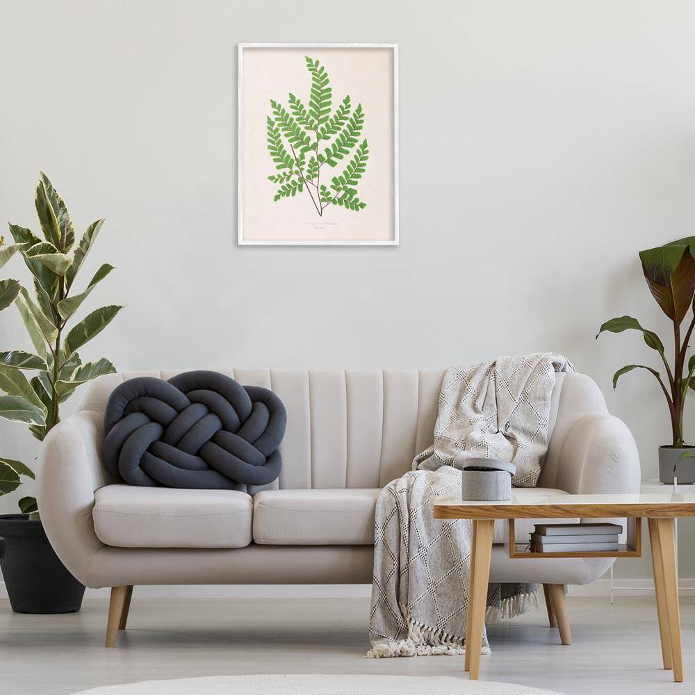 Woodland Sprigs Study by Phillipa Katz White Framed Nature Giclee Art Print 30 in. x 24 in. price history on PriceWatchPro