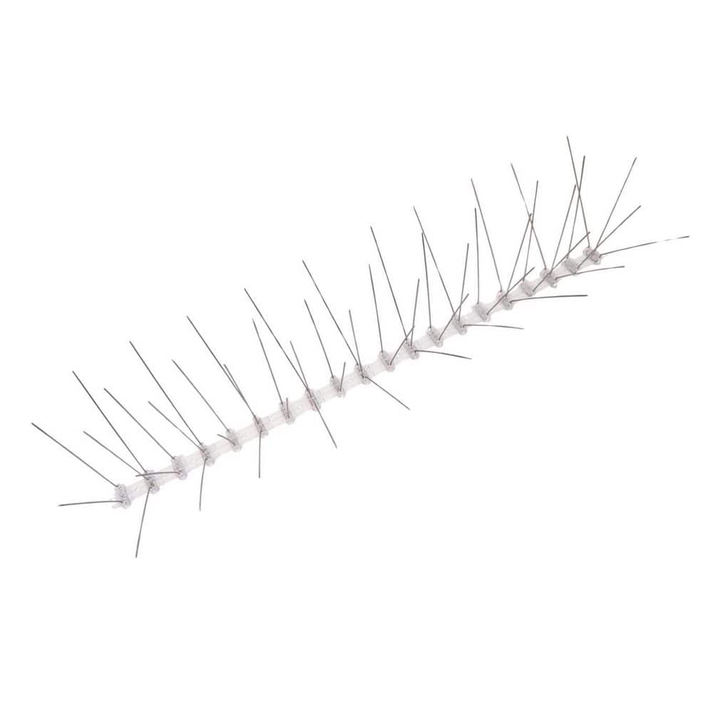 50 ft. x 6 in. Stainless Steel Bird Spikes price history on PriceWatchPro
