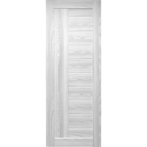 24 in. x 80 in. Tallahassee Ice Maple Prefinished Frosted PC Glass 10-Lite Solid Core Wood Interior Door Slab No Bore