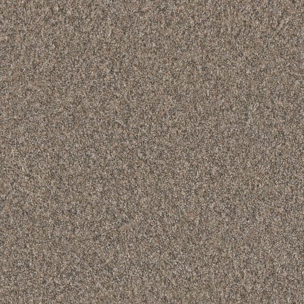 Manuscript II -Novel Beige -55 oz. SD Polyester Texture Installed Carpet