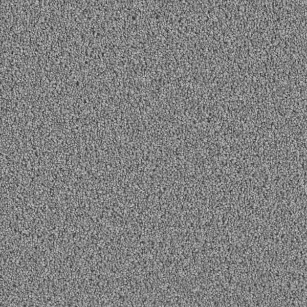 Home Decorators Collection Delicate Flower  - Perfect - Gray 40 oz. SD Polyester Texture Installed Carpet