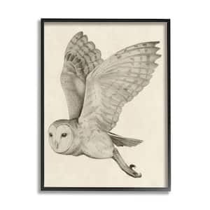 Flying Barn Owl Wings Detailed Monochrome Drawing by Grace Popp Framed Animal Art Print 14 in. x 11 in.